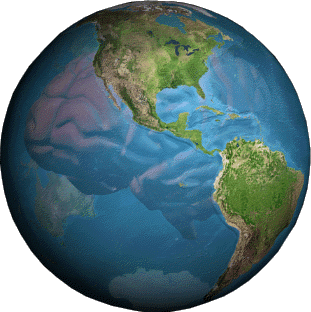 brain-earth.gif