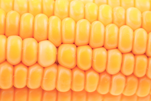 corn1.jpg