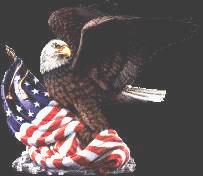 eagle1.jpg