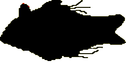 fish1.gif