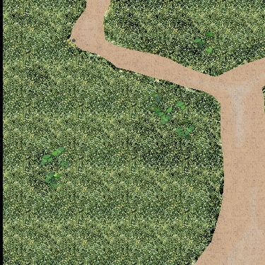 g3.jpg