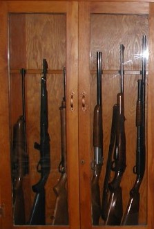 gun_cab.jpg
