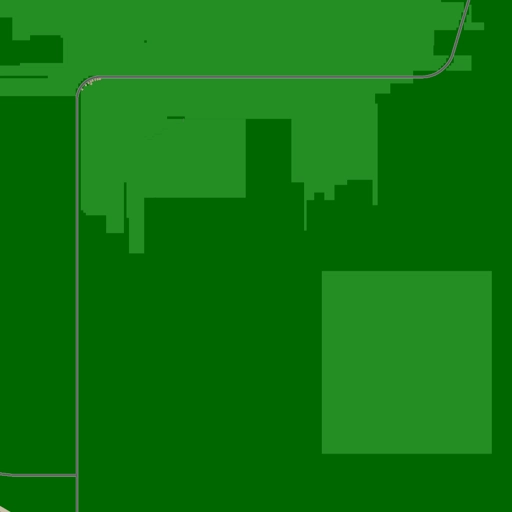 4.webp