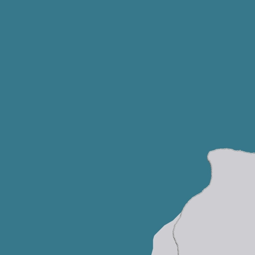 11.webp