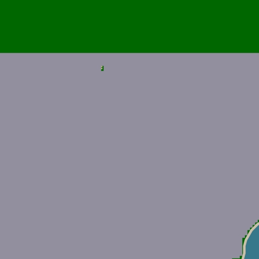 4.webp