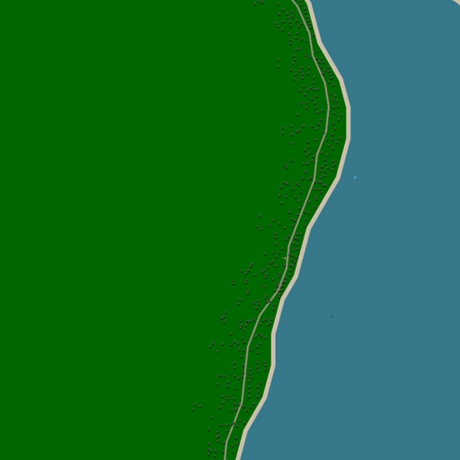 7.webp