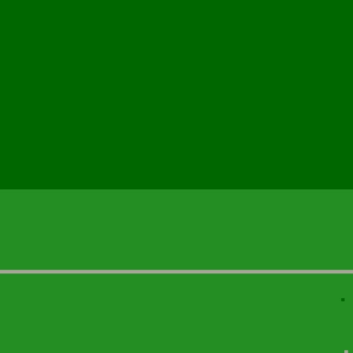 16.webp