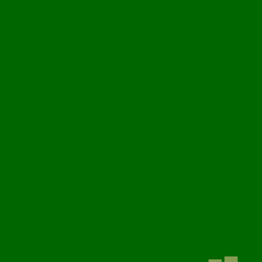9.webp