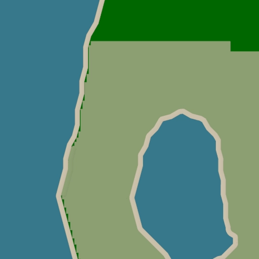 14.webp