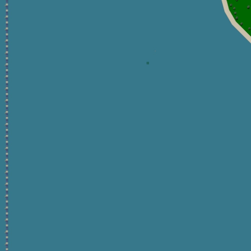 17.webp