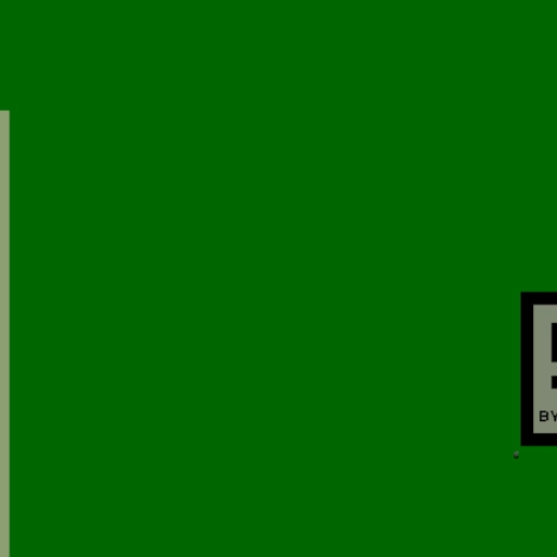 14.webp