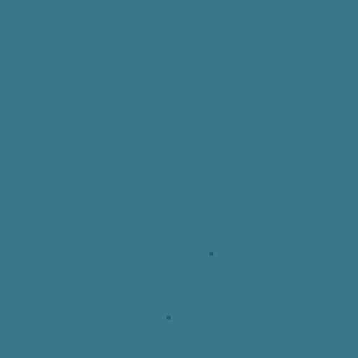 19.webp