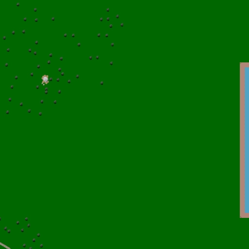 16.webp