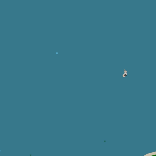 18.webp