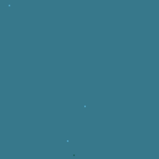 19.webp