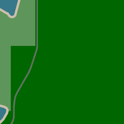 11.webp