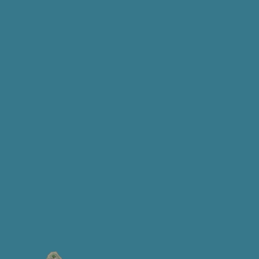 21.webp