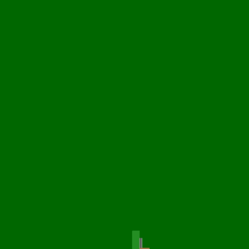 19.webp