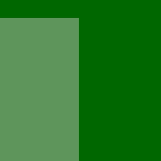 21.webp