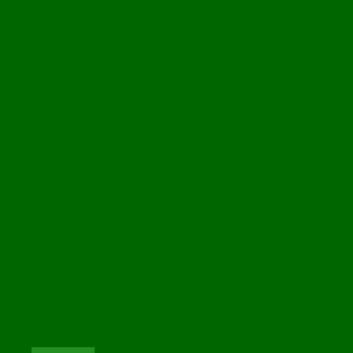 12.webp