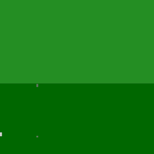 24.webp