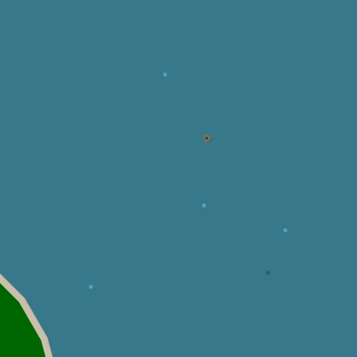 14.webp