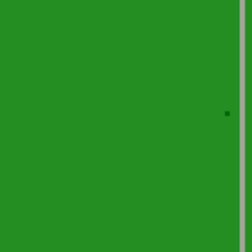 36.webp