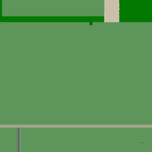 13.webp