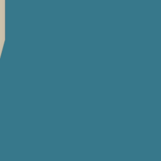 31.webp