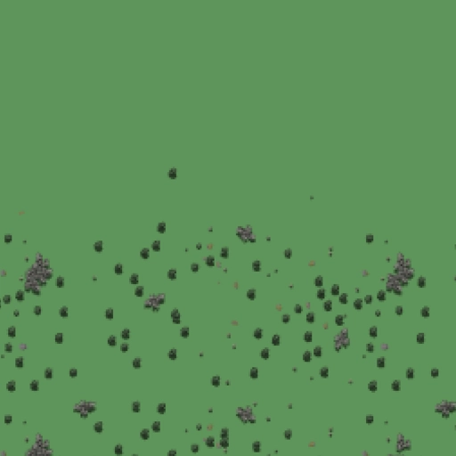 35.webp