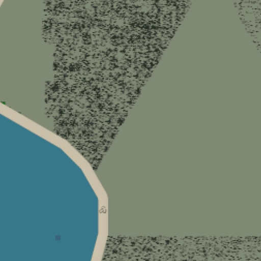 39.webp