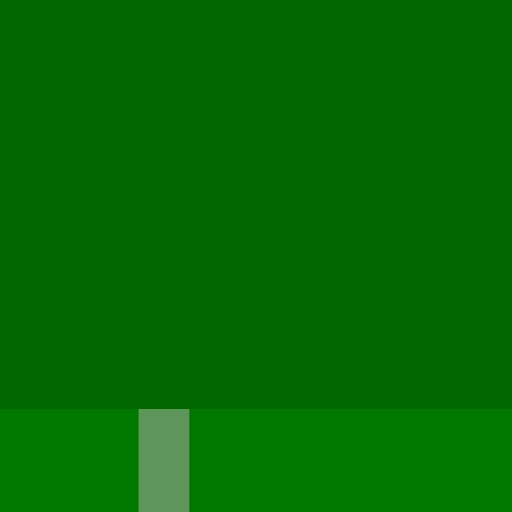 12.webp