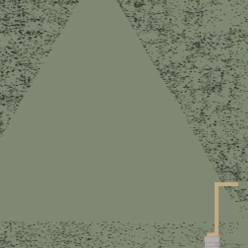 38.webp