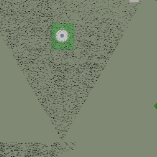 39.webp