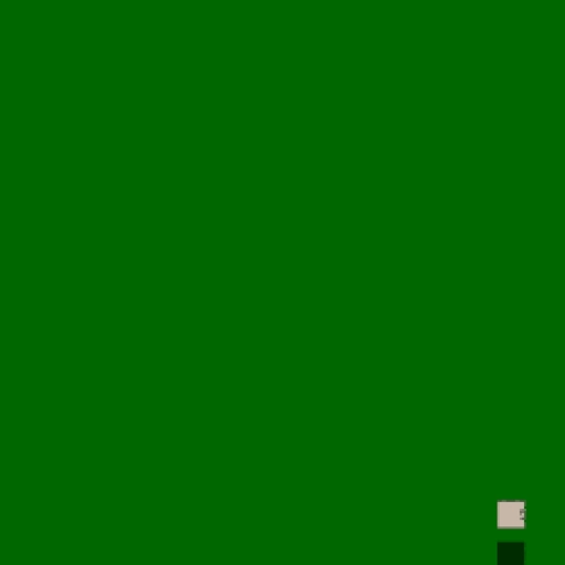17.webp