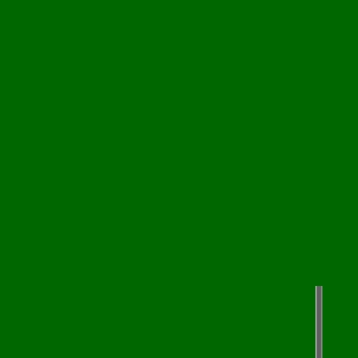 12.webp