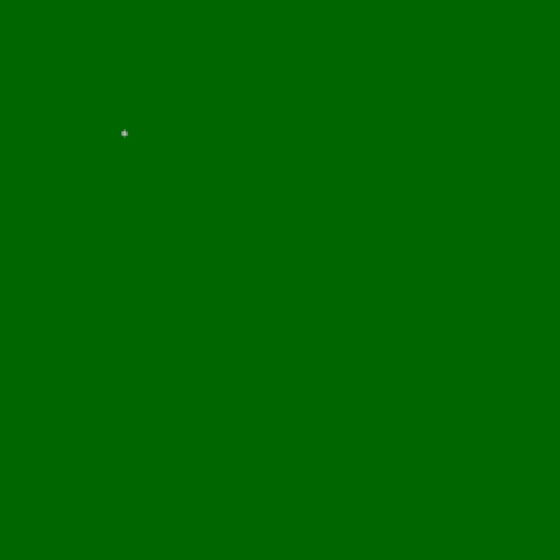 17.webp