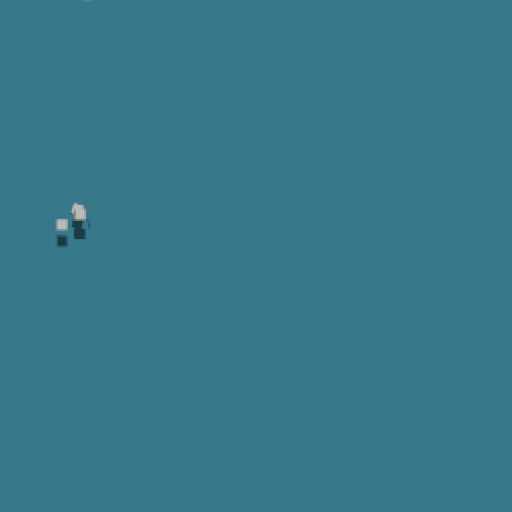 29.webp