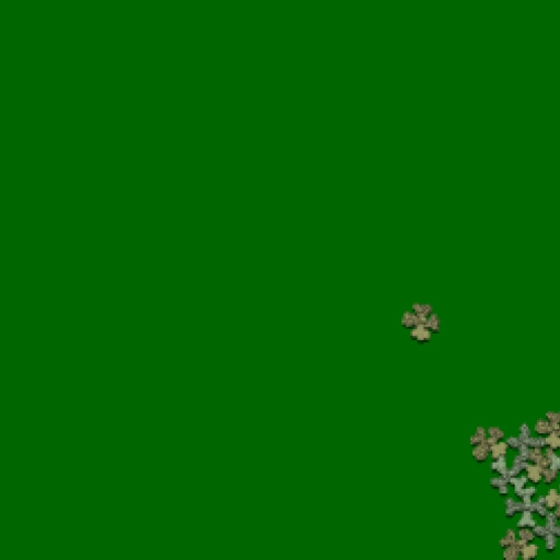 13.webp