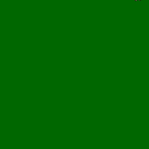 14.webp