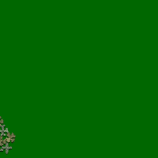 13.webp