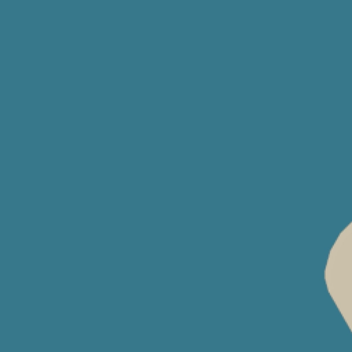 29.webp