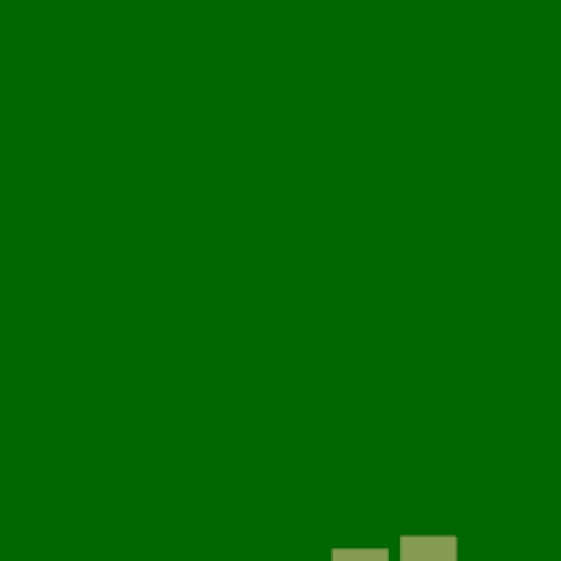 19.webp
