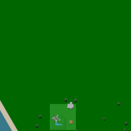 31.webp