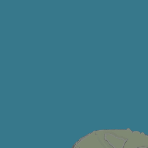 43.webp