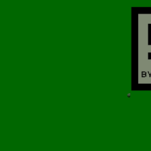 29.webp