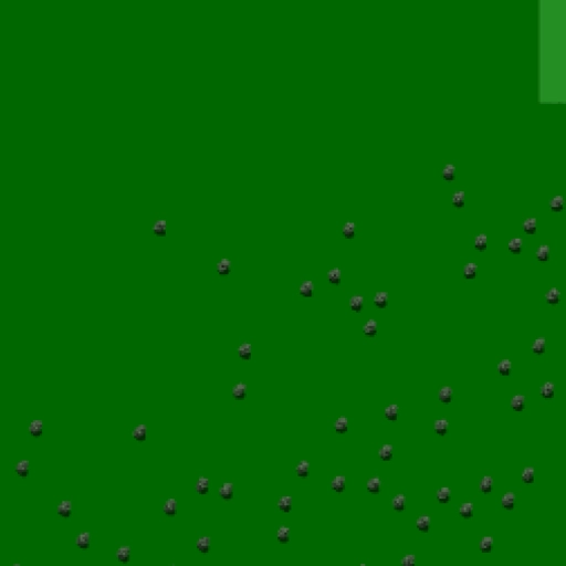 31.webp
