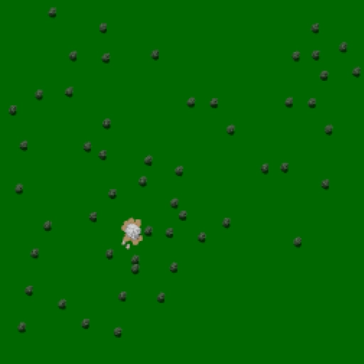 32.webp