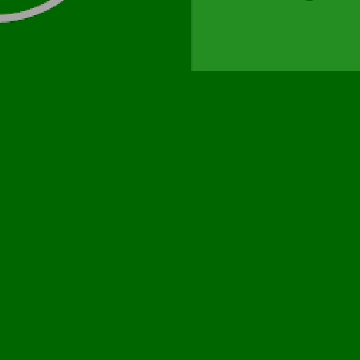 51.webp