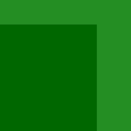 15.webp